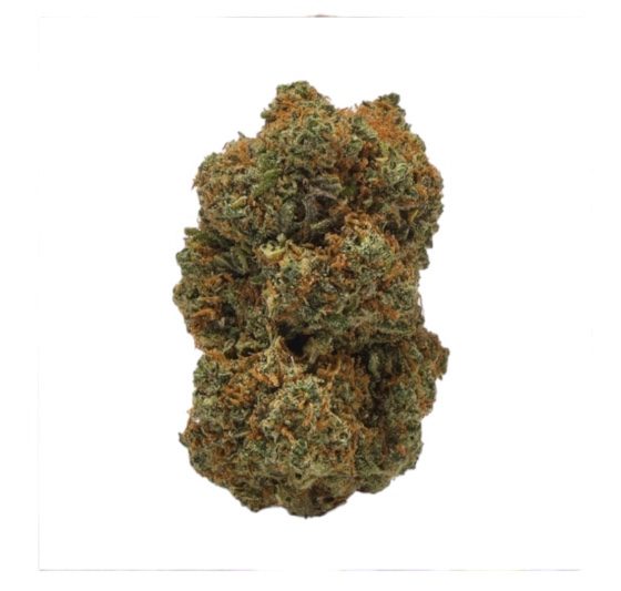 BLUEBERRY 10-OH